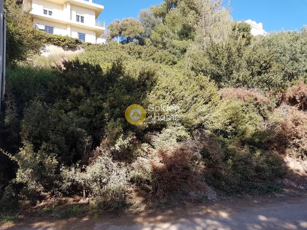 Building Plot in Agia Marina, Koropi — Photo 3 of 9