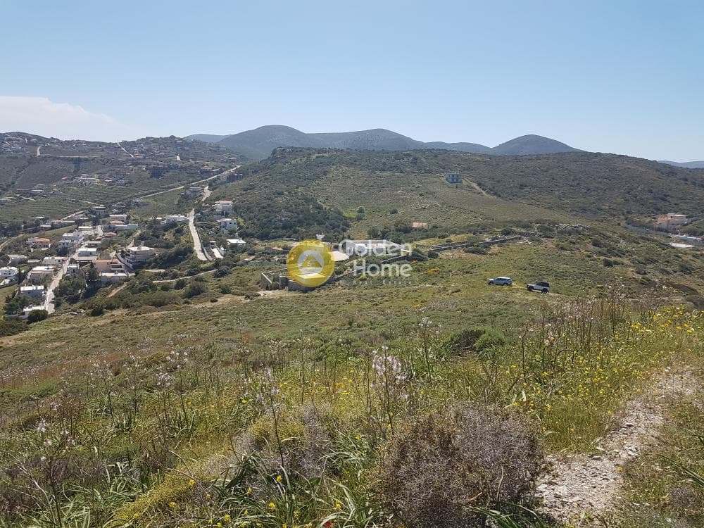 Building Plot in Pefka, Keratea — Photo 11 of 17