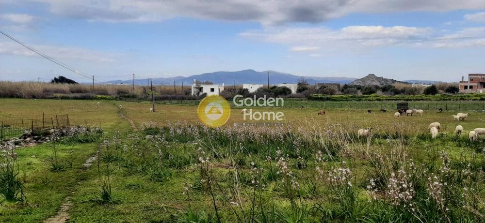 Parcel in Kastraki, Naxos — Photo 1 of 6