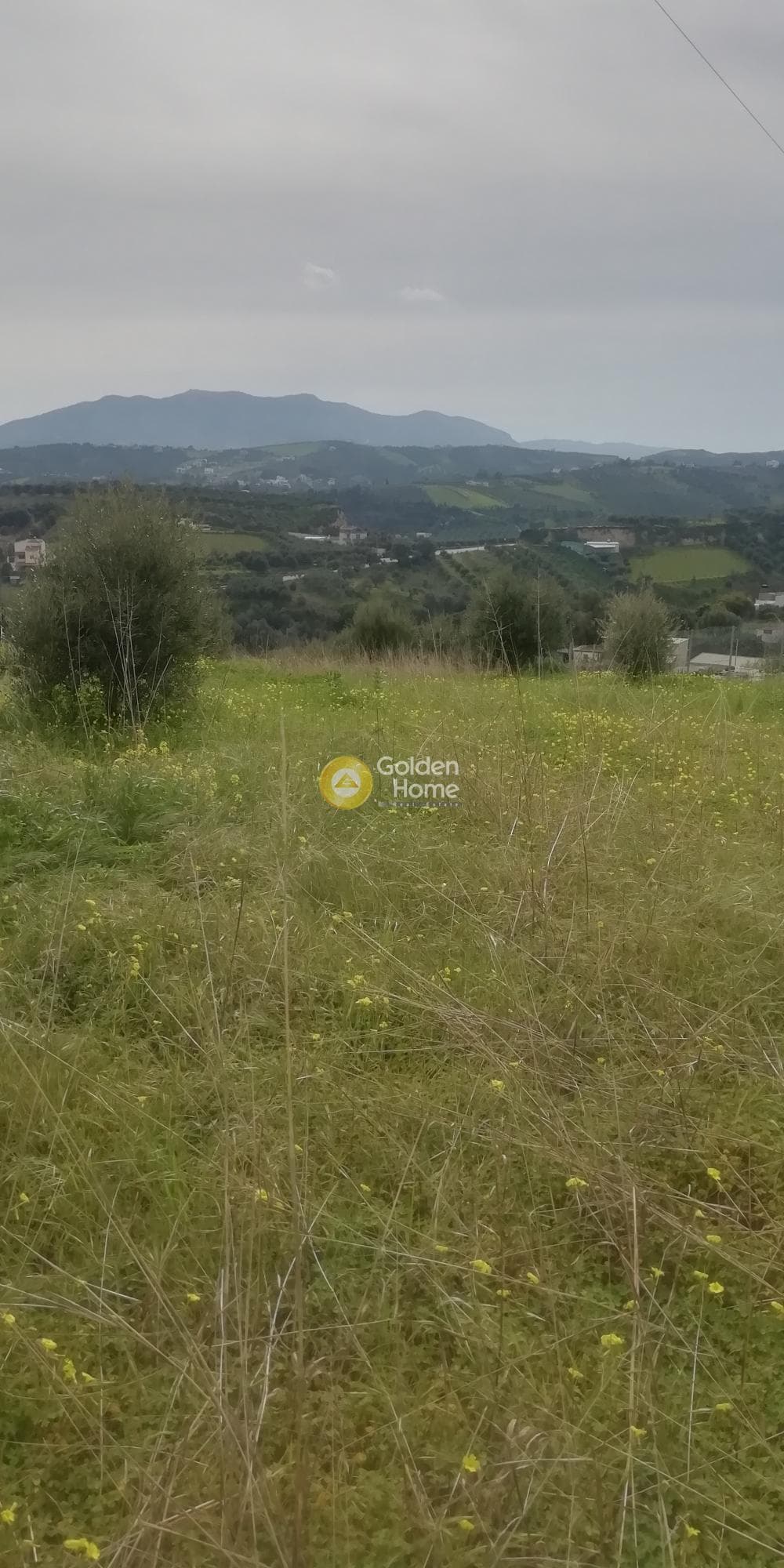 Οικόπεδο στην Άνω Καλέσια, Τέμενος — Φωτογραφία 6 από 11