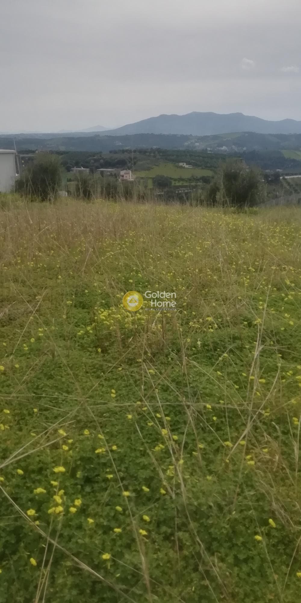 Οικόπεδο στην Άνω Καλέσια, Τέμενος — Φωτογραφία 7 από 11