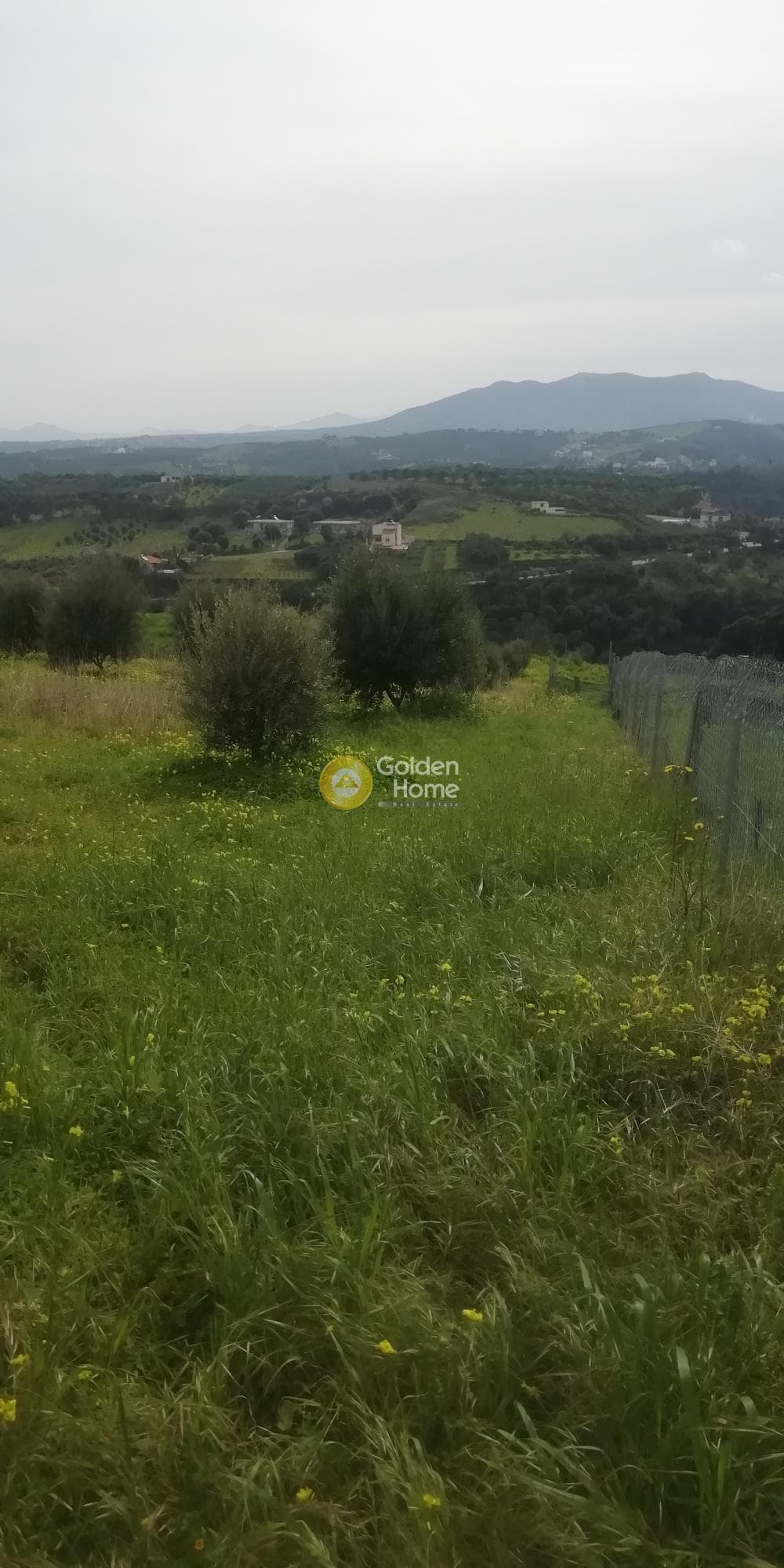 Οικόπεδο στην Άνω Καλέσια, Τέμενος — Φωτογραφία 10 από 11