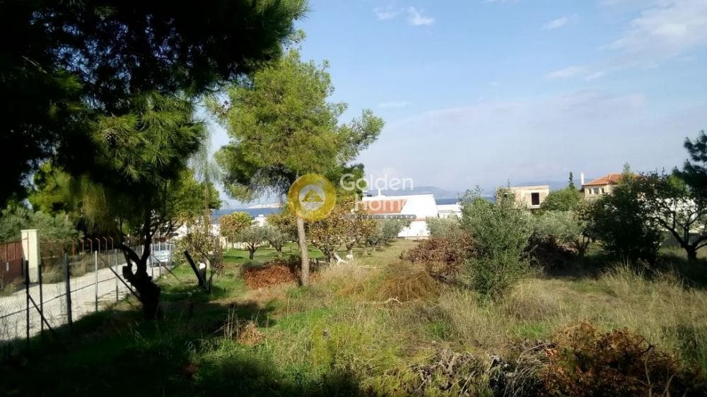 Οικόπεδο στην Θερμά, Αίγινα — Φωτογραφία 16 από 16
