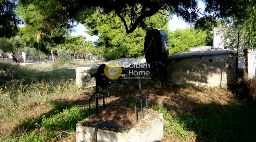 Building Plot in Therma, Aegina — Photo 9 of 16