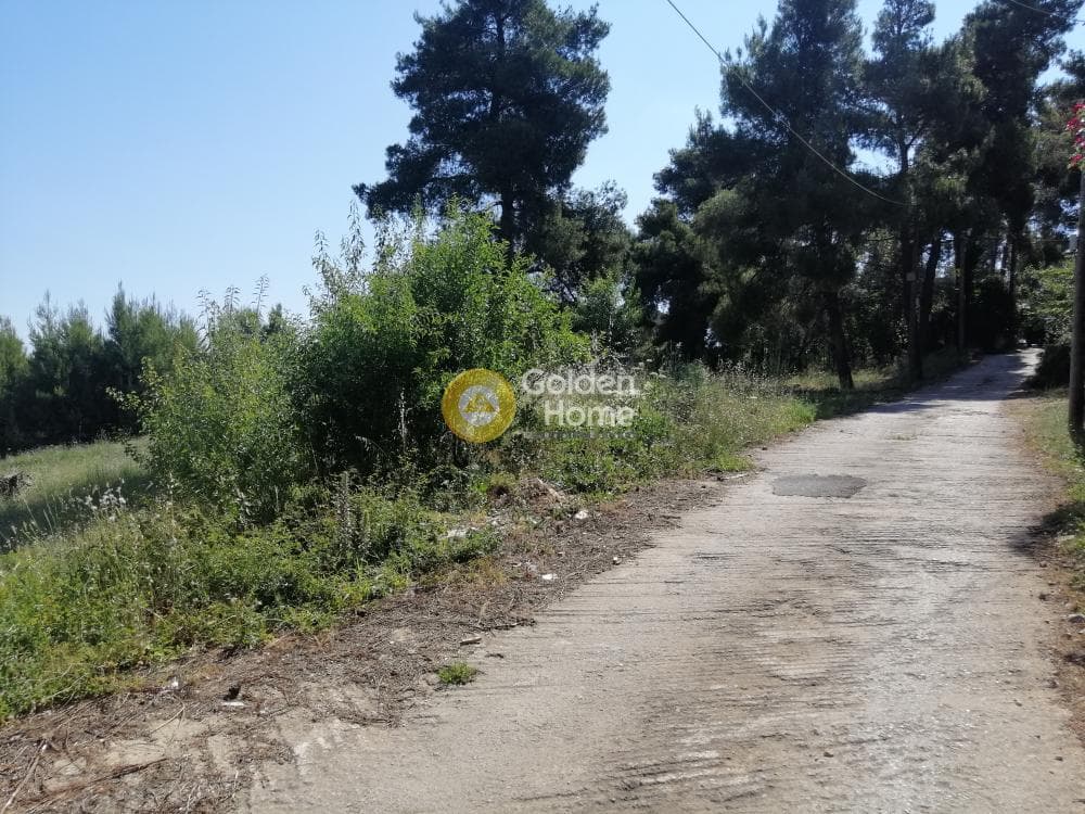 Building Plot in Agia Paraskevi, Agios Stefanos — Photo 4 of 7