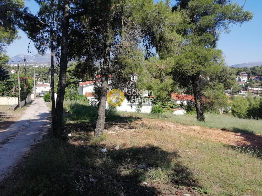 Building Plot in Agia Paraskevi, Agios Stefanos — Photo 7 of 7