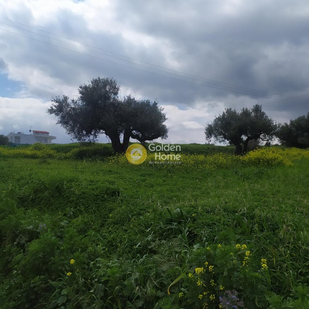 Building Plot in Vasileies, Archanes — Photo 2 of 15