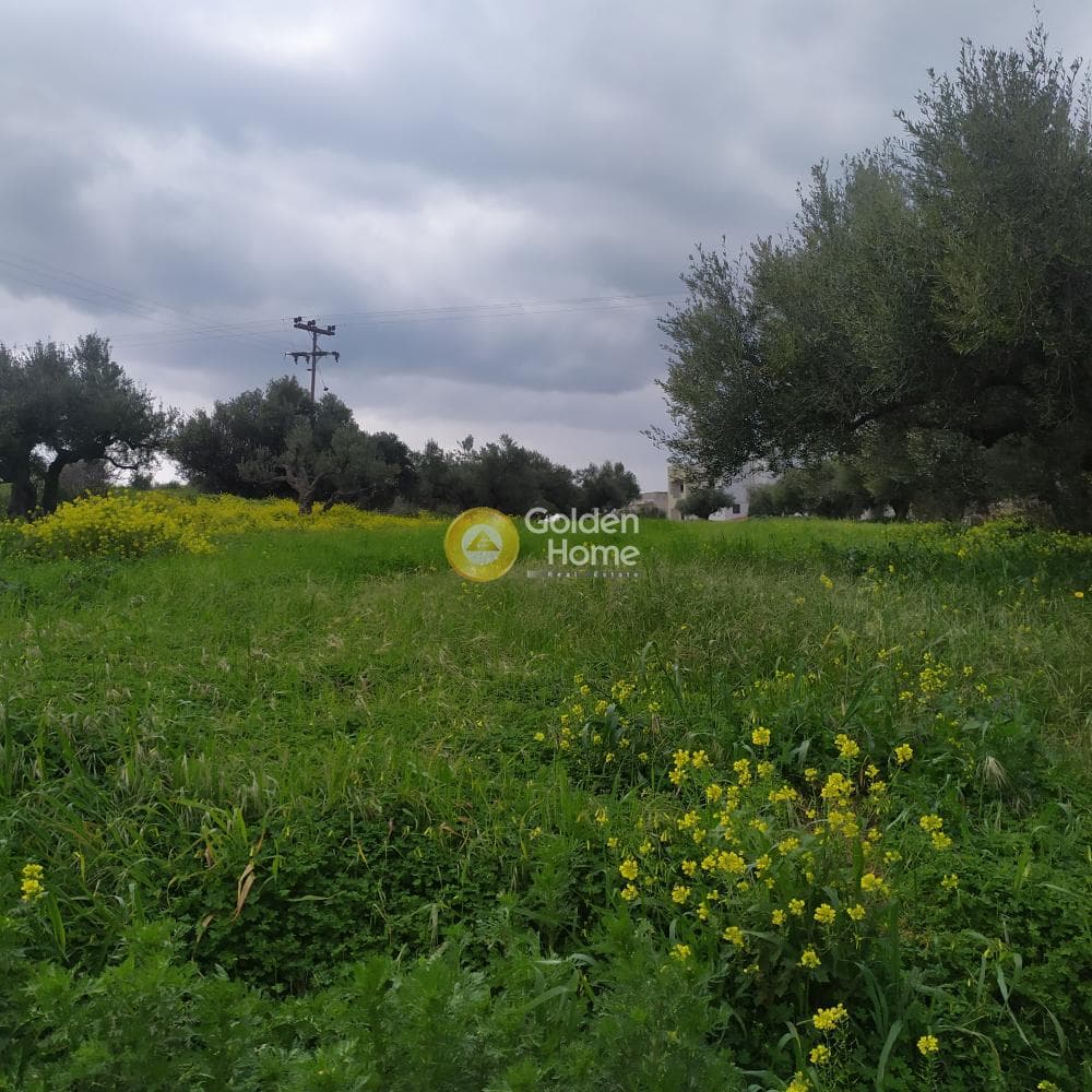 Building Plot in Vasileies, Archanes — Photo 4 of 15