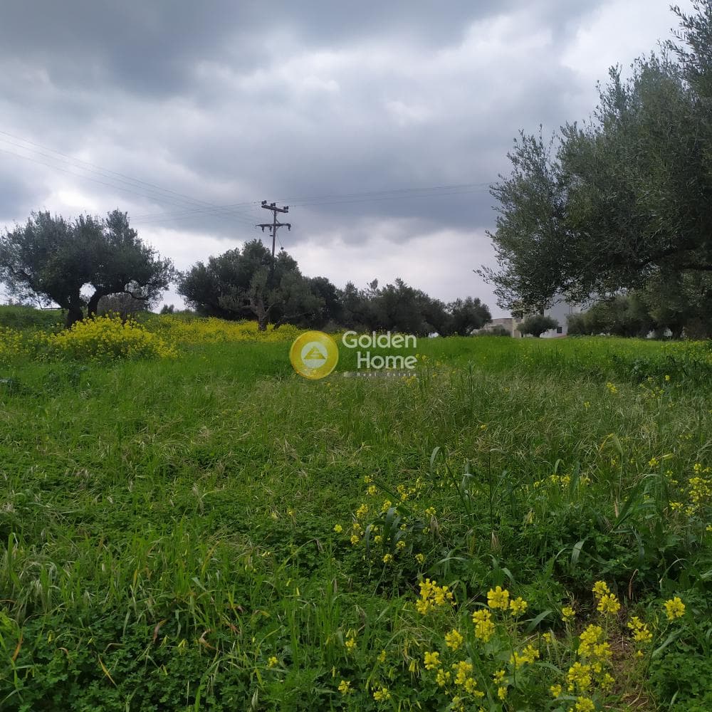 Building Plot in Vasileies, Archanes — Photo 8 of 15