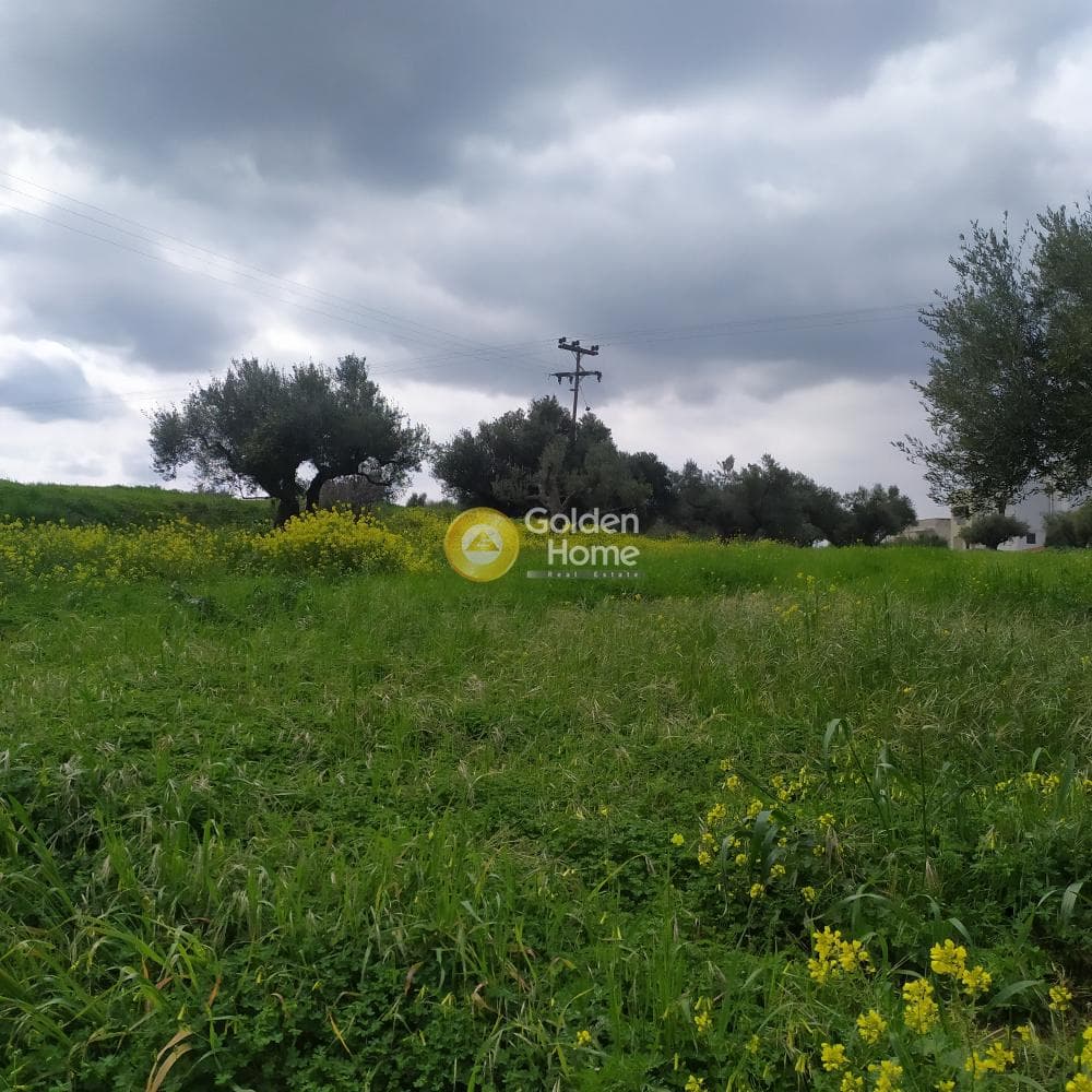 Building Plot in Vasileies, Archanes — Photo 9 of 15