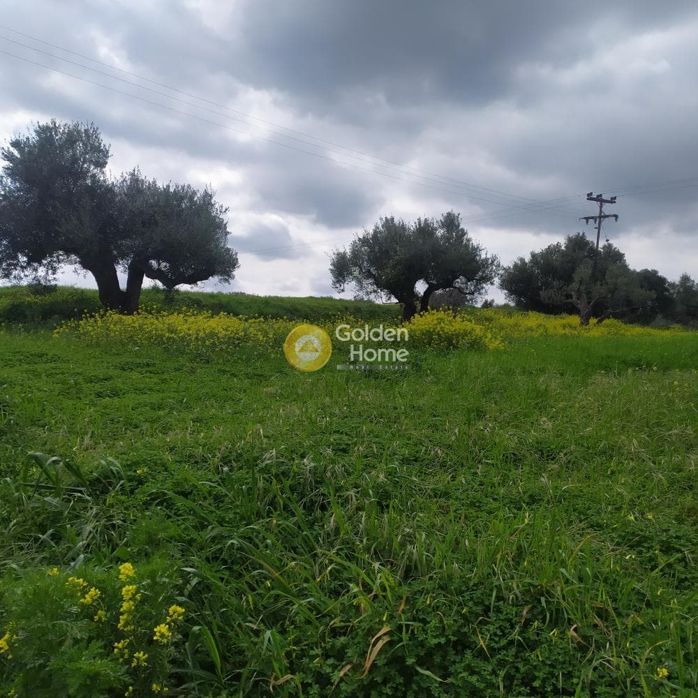 Building Plot in Vasileies, Archanes — Photo 11 of 15