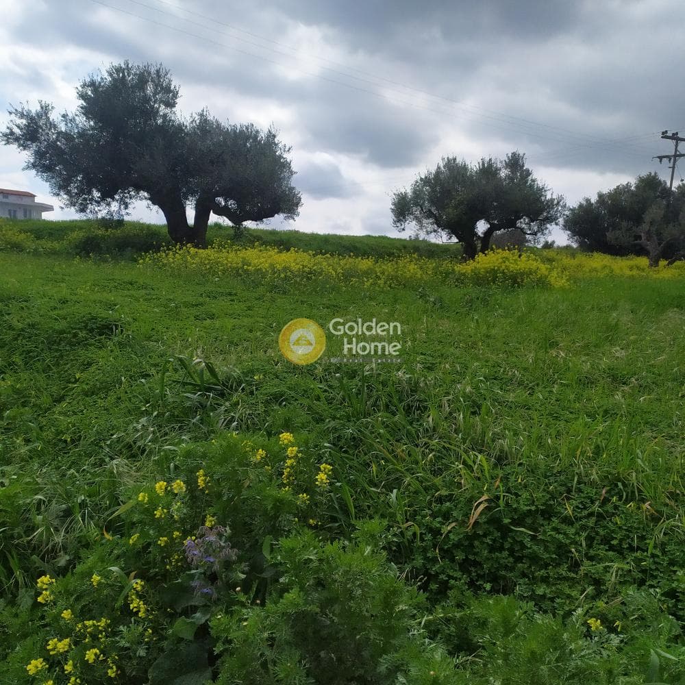 Building Plot in Vasileies, Archanes — Photo 10 of 15