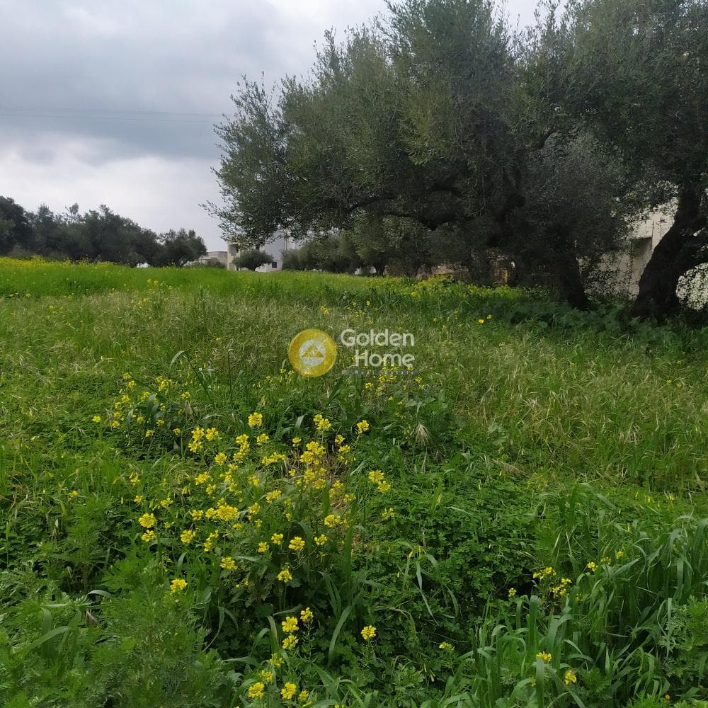 Building Plot in Vasileies, Archanes — Photo 12 of 15