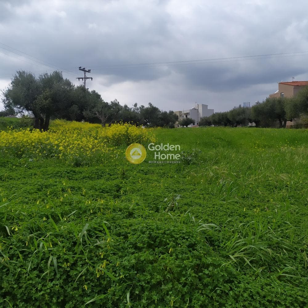 Building Plot in Vasileies, Archanes — Photo 13 of 15