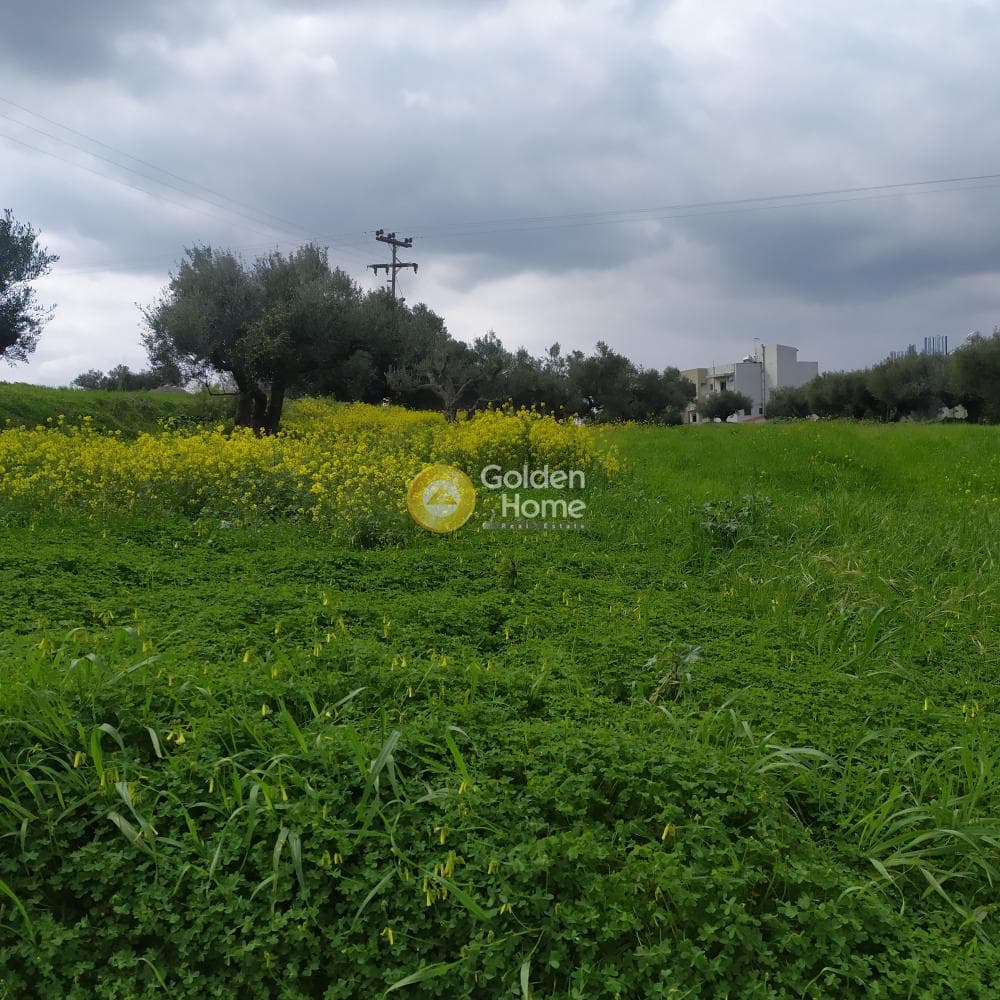 Building Plot in Vasileies, Archanes — Photo 15 of 15