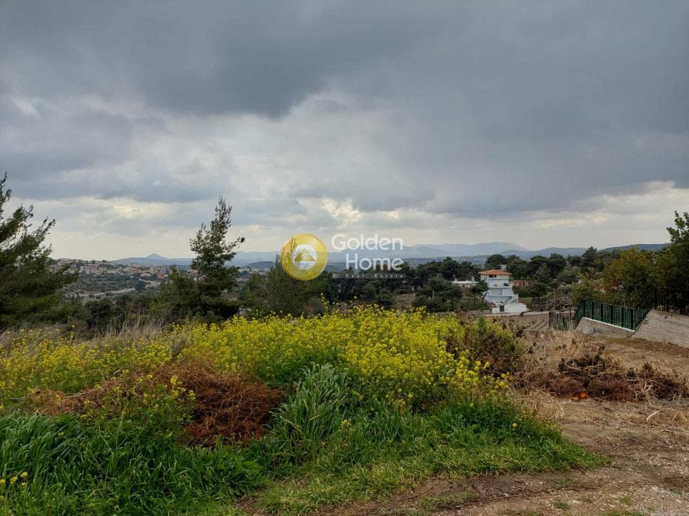 Οικόπεδο στην Νέα Παλλήνη, Παλλήνη — Φωτογραφία 5 από 8