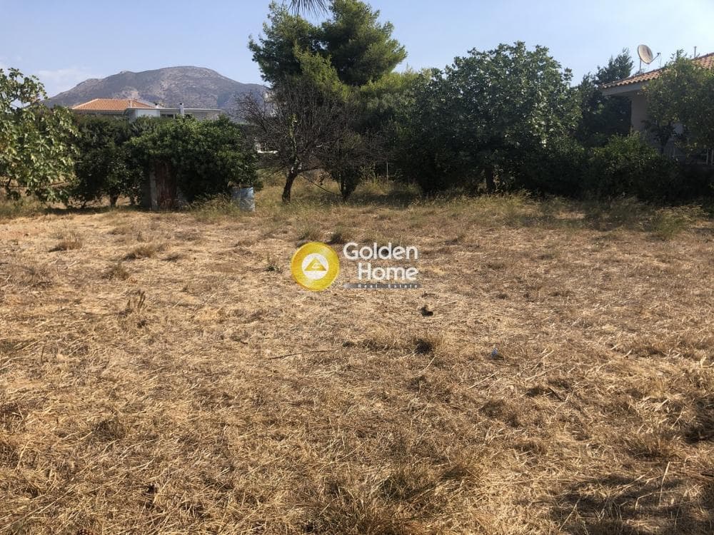Building Plot in Kalivia, Kalivia Thorikou — Photo 2 of 4