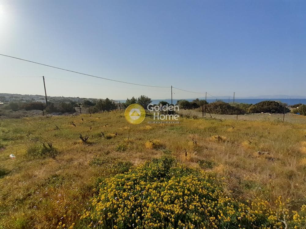 Building Plot in Vagia, Aegina — Photo 2 of 2