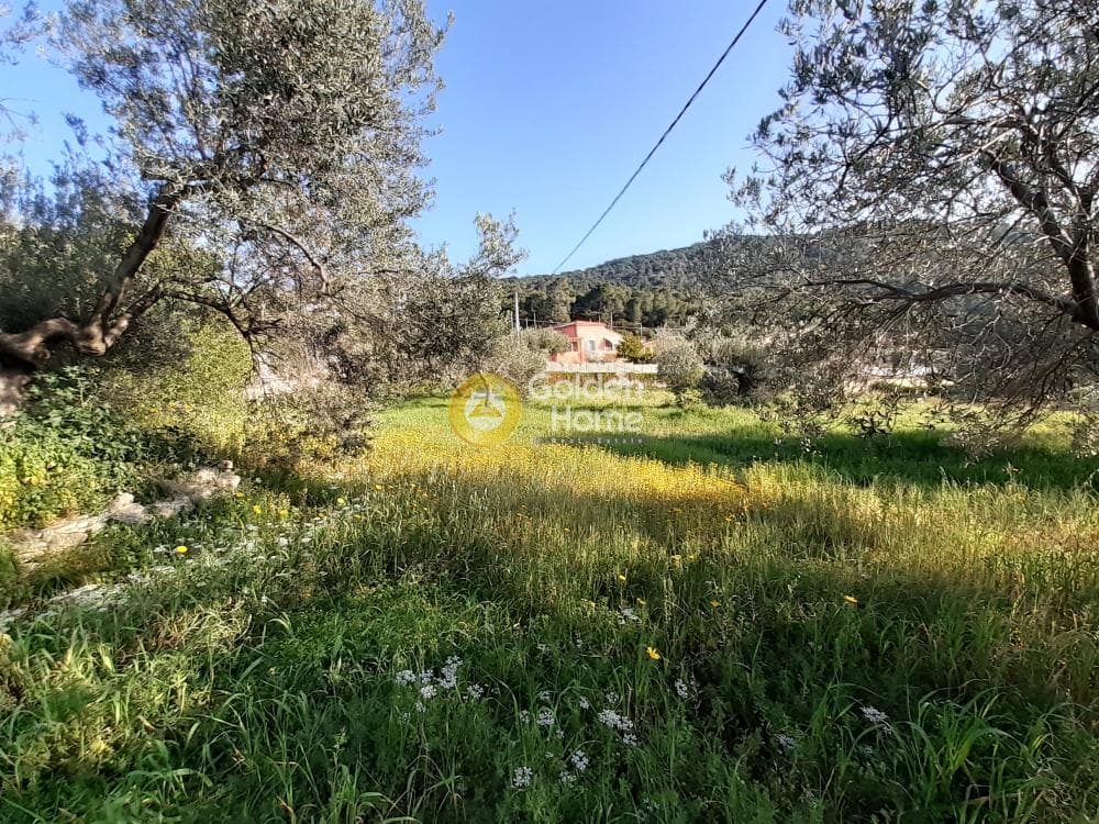 Οικόπεδο στην Θερμά, Αίγινα — Φωτογραφία 3 από 7