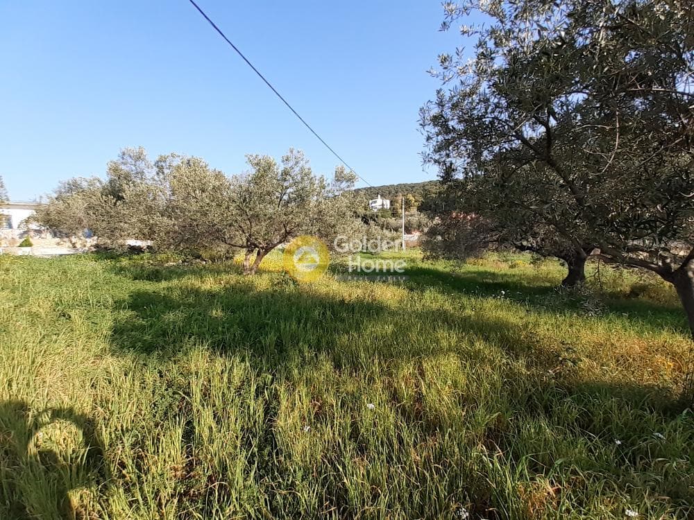 Οικόπεδο στην Θερμά, Αίγινα — Φωτογραφία 5 από 7