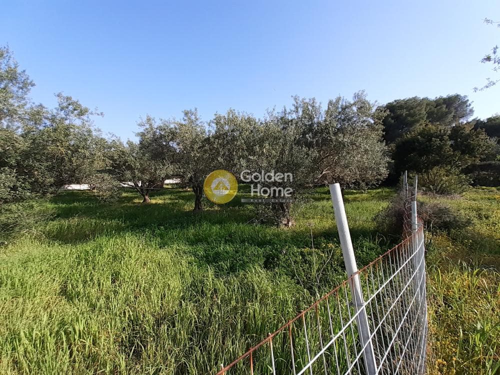 Οικόπεδο στην Βαΐα, Αίγινα — Φωτογραφία 2 από 2