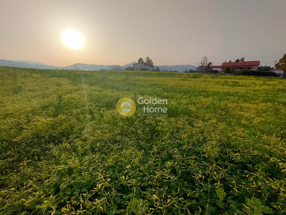 Building Plot in Giofirakia, Temenos — Photo 10 of 18