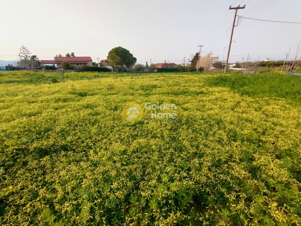 Building Plot in Giofirakia, Temenos — Photo 14 of 18