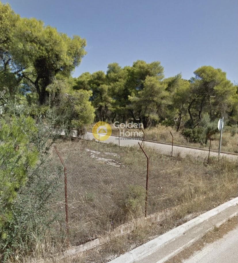 Οικόπεδο στην Μεγάλα Σχοινία Α, Αχαρνές — Φωτογραφία 4 από 4