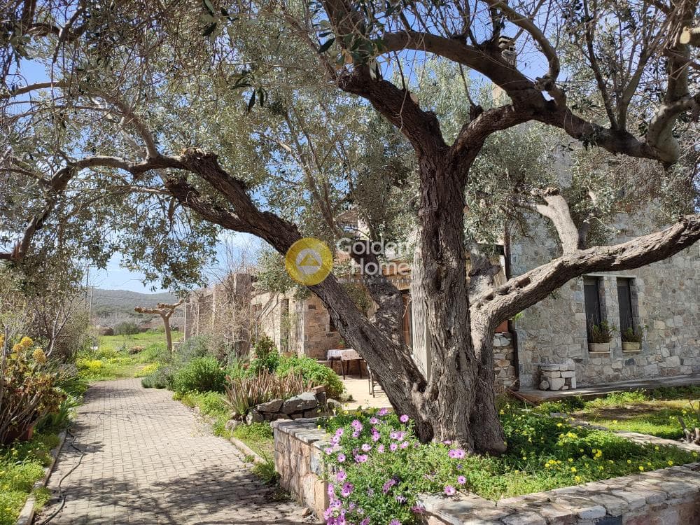 House in Agios Georgios Thorikou, Lavrio — Photo 4 of 4