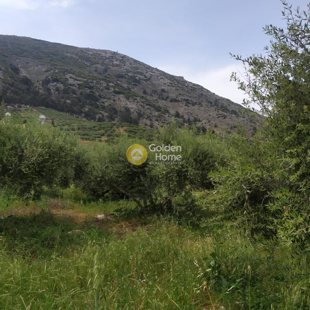 Building Plot in Epano Archanes, Archanes — Photo 2 of 17