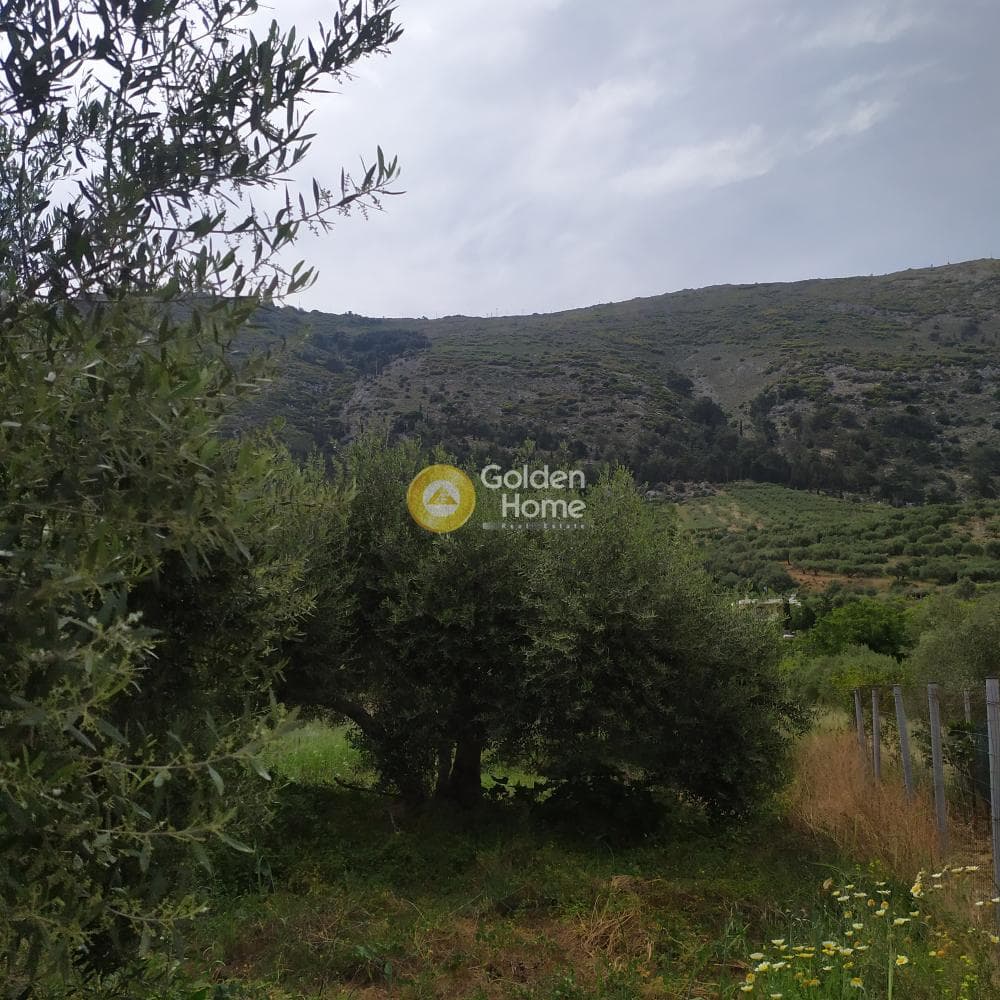 Building Plot in Epano Archanes, Archanes — Photo 4 of 17