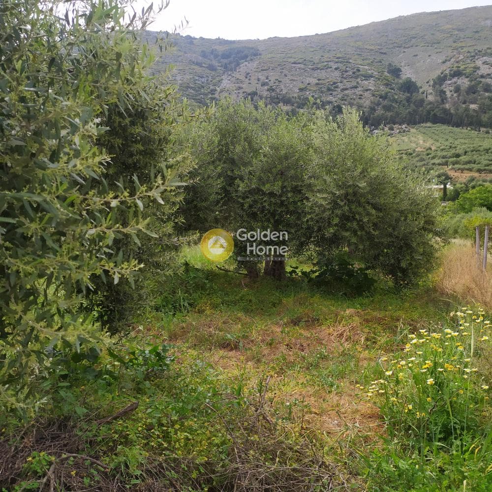 Building Plot in Epano Archanes, Archanes — Photo 6 of 17