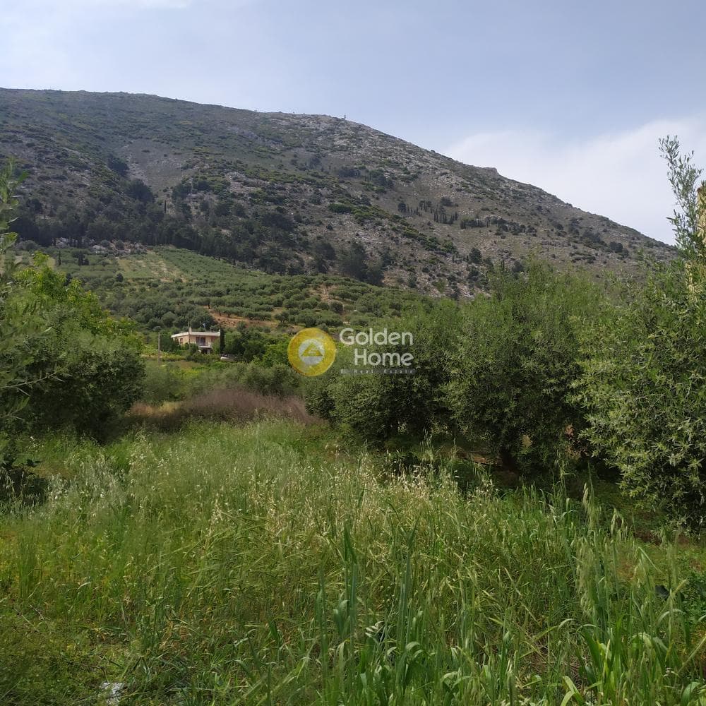 Building Plot in Epano Archanes, Archanes — Photo 8 of 17