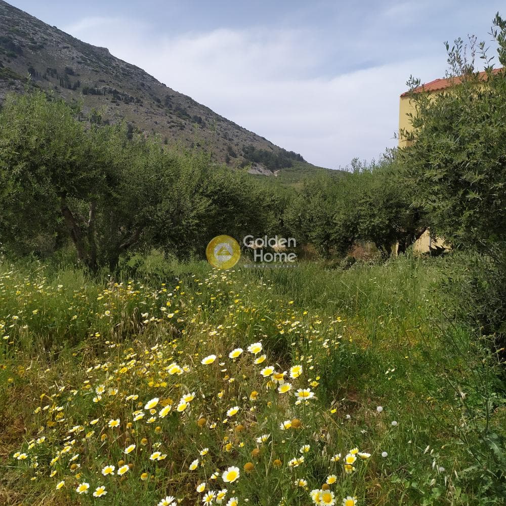 Building Plot in Epano Archanes, Archanes — Photo 13 of 17