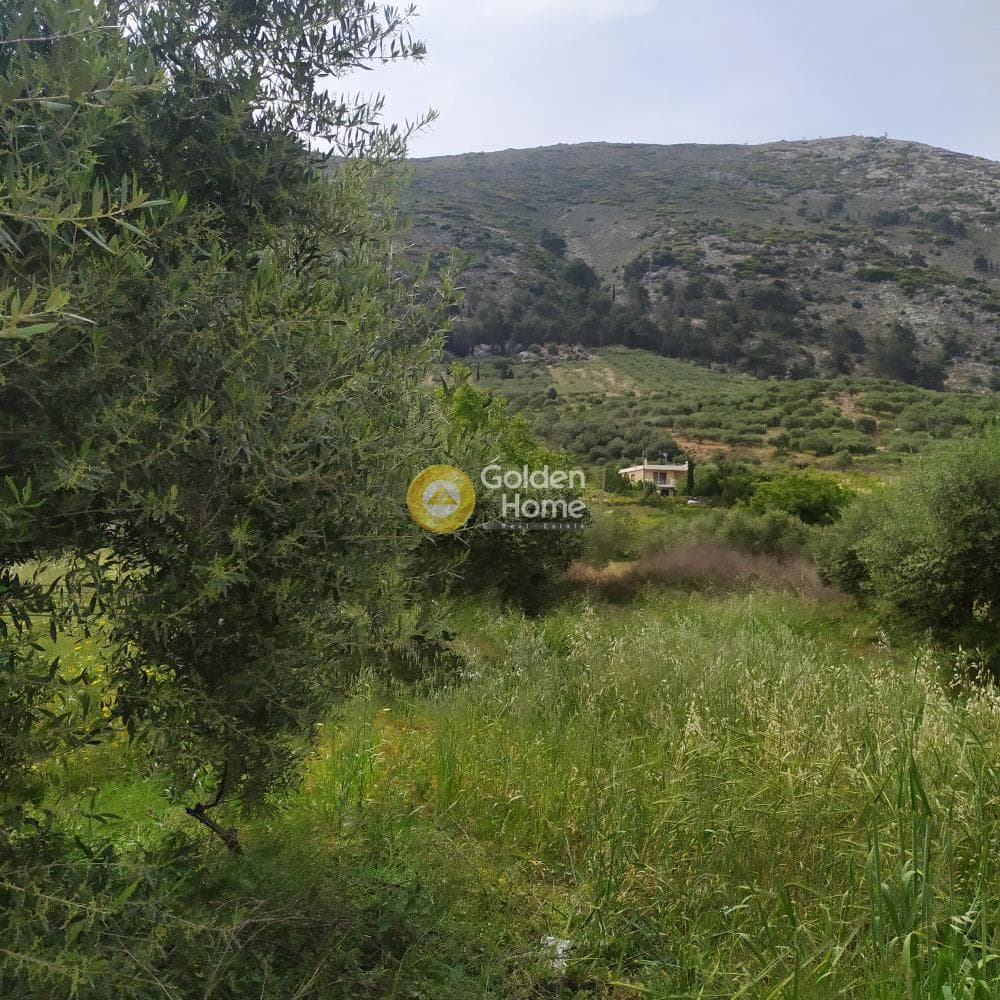 Building Plot in Epano Archanes, Archanes — Photo 16 of 17