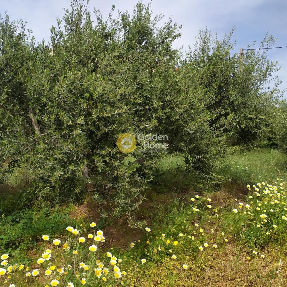 Building Plot in Epano Archanes, Archanes — Photo 17 of 17