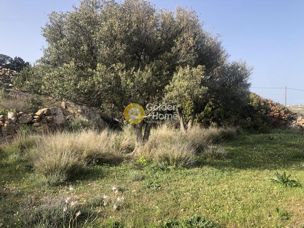 Parcel in Moni Agiou Antoniou, Paros — Photo 7 of 7