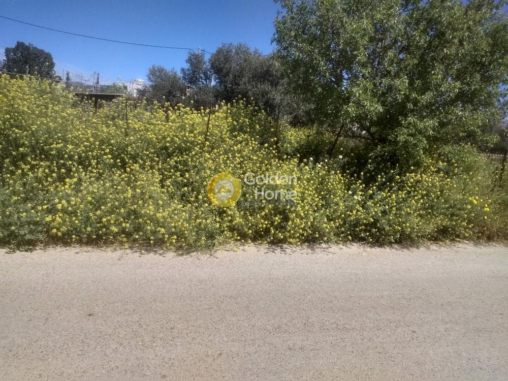 Οικόπεδο στην Σωρός, Μαρούσι — Φωτογραφία 2 από 10