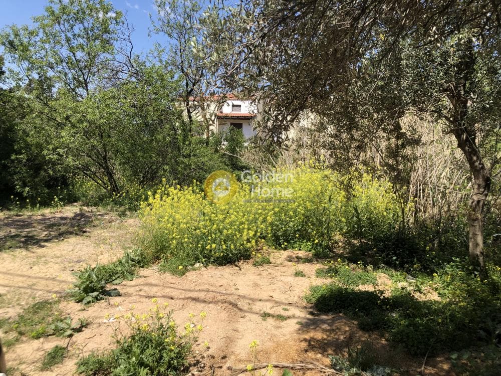 Building Plot in Adames Oikismos Peloponnision, Kifisia — Photo 5 of 6