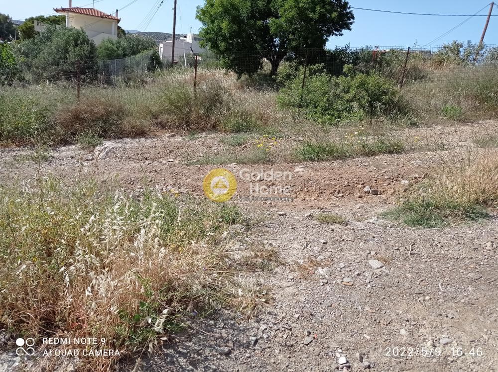 Building Plot in Kalivia, Kalivia Thorikou — Photo 5 of 7