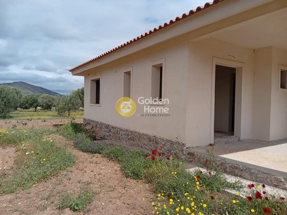 House in Elaionas, Anavissos — Photo 5 of 22