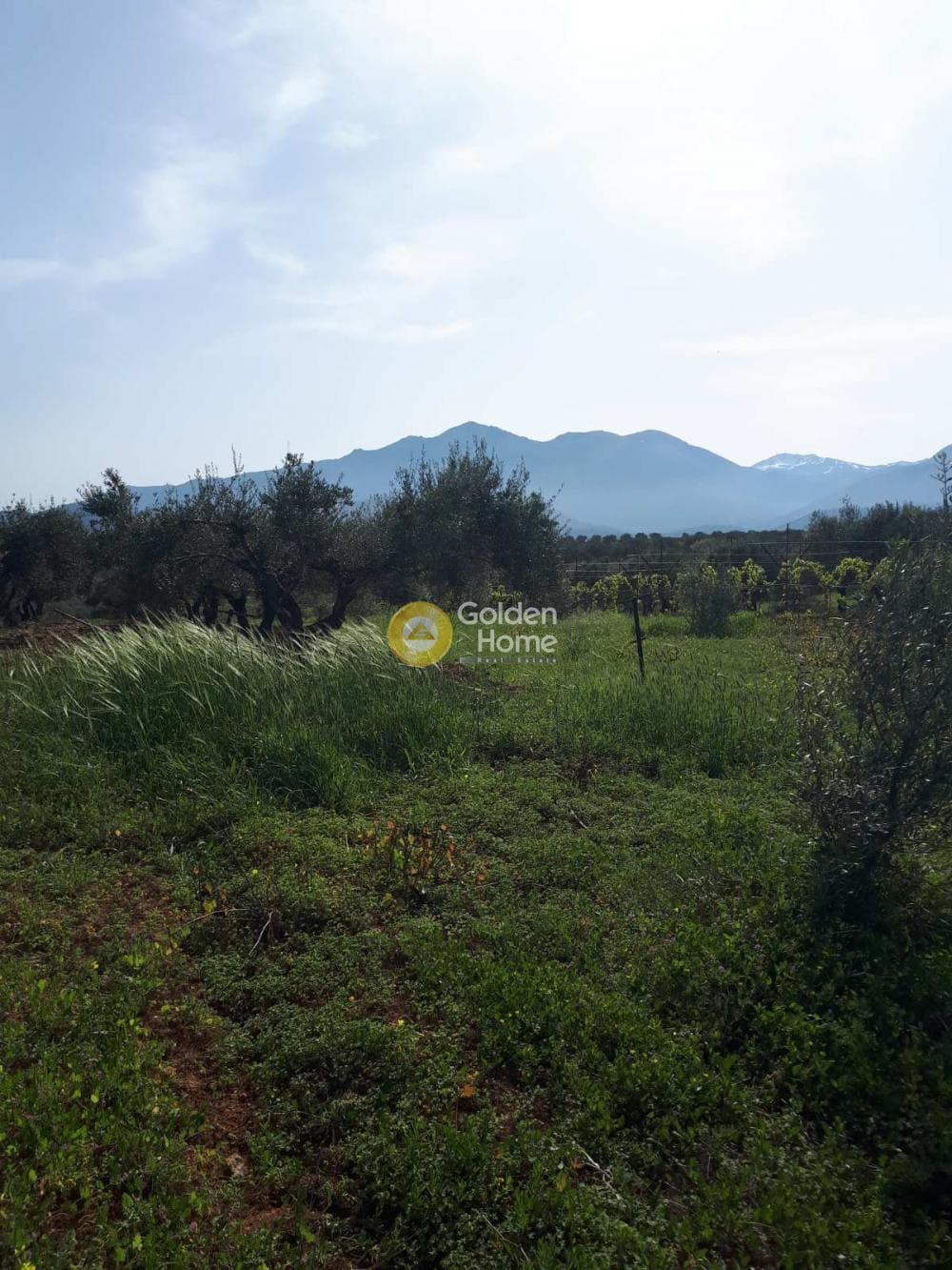 Building Plot in Roussochoria, Arkalochori — Photo 4 of 16