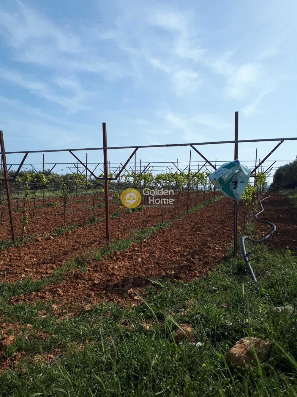 Building Plot in Roussochoria, Arkalochori — Photo 7 of 16