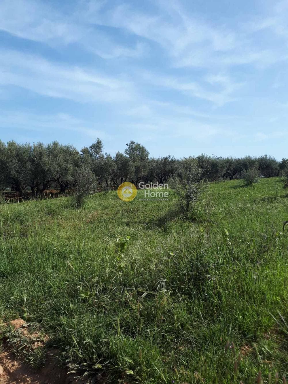 Building Plot in Roussochoria, Arkalochori — Photo 10 of 16