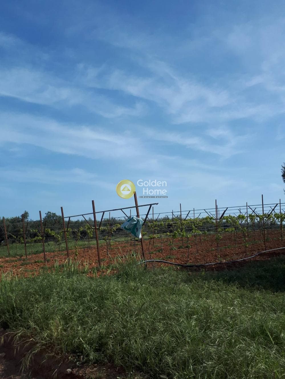 Building Plot in Roussochoria, Arkalochori — Photo 11 of 16