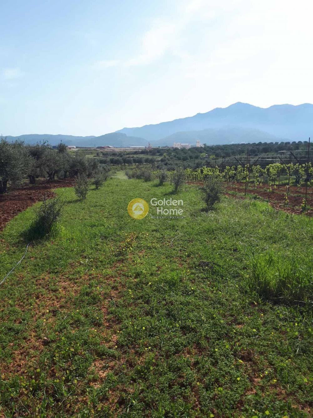 Building Plot in Roussochoria, Arkalochori — Photo 8 of 16