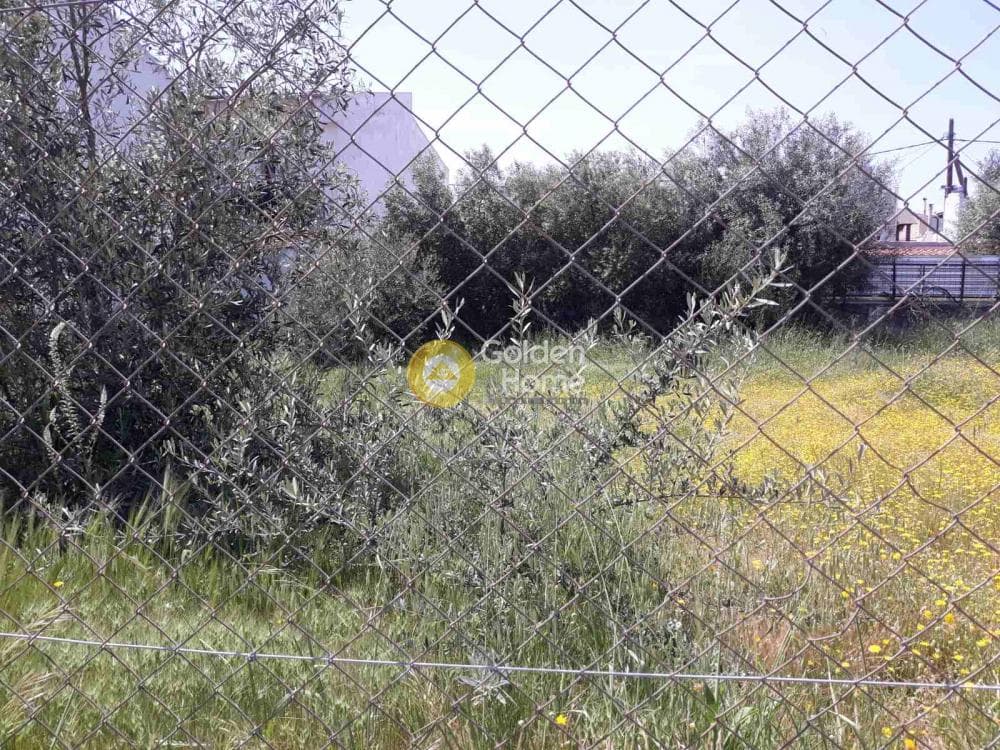 Οικόπεδο στην Μεγάλα Σχοινία Α, Αχαρνές — Φωτογραφία 3 από 4