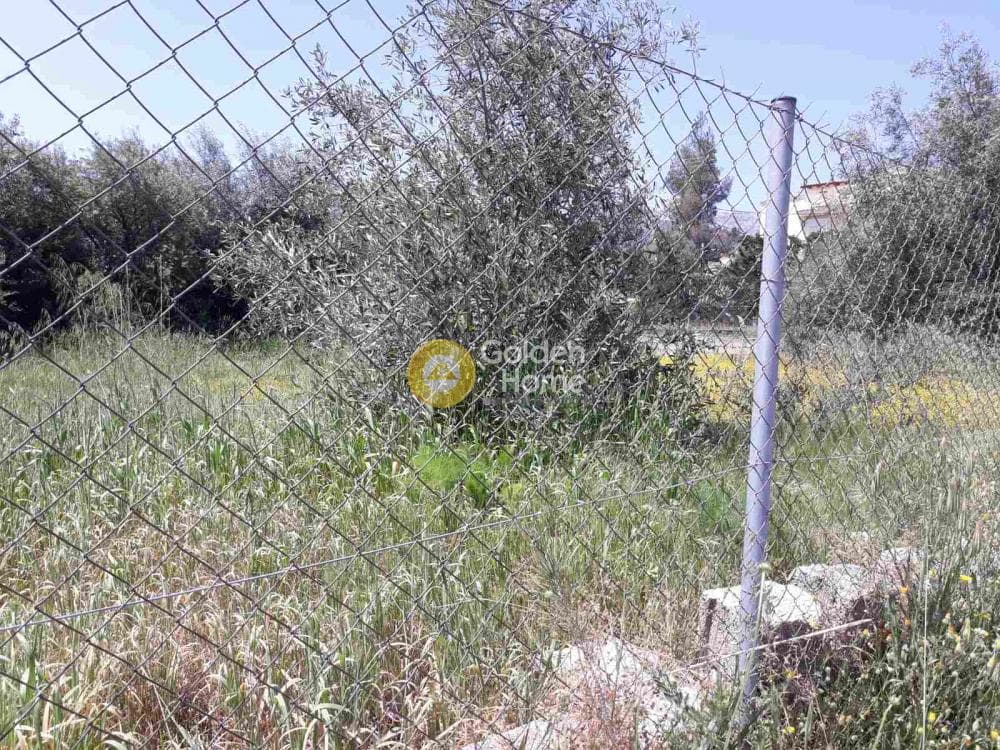 Οικόπεδο στην Μεγάλα Σχοινία Α, Αχαρνές — Φωτογραφία 4 από 4