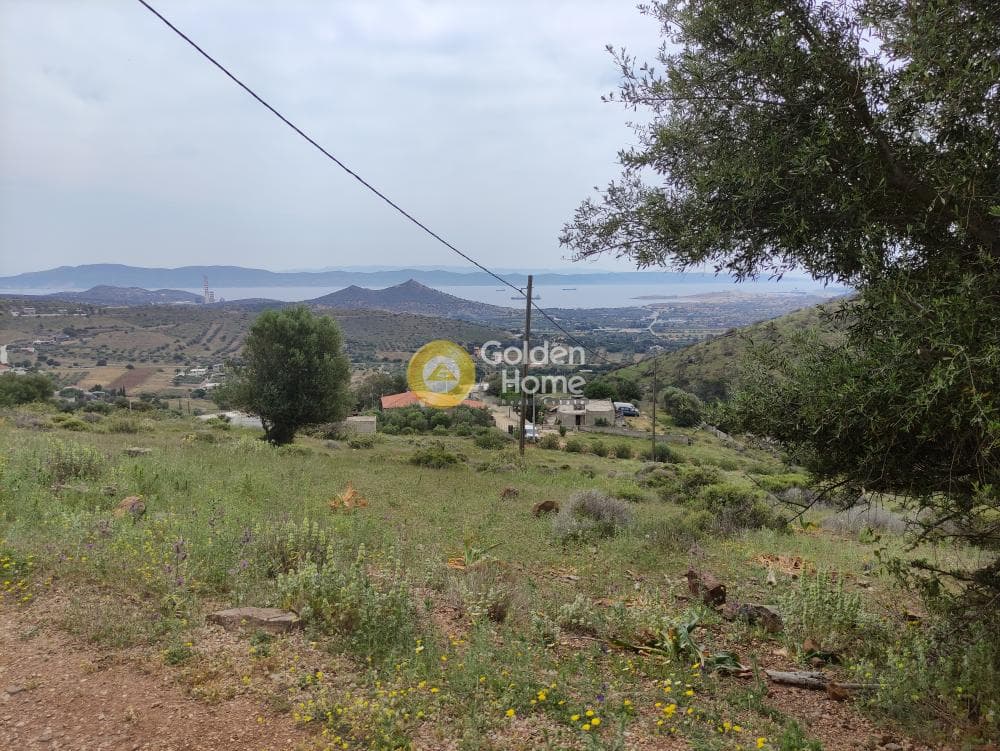 Αγροτεμάχιο στην Παλιοκαμάριζα, Λαύριο — Φωτογραφία 2 από 4