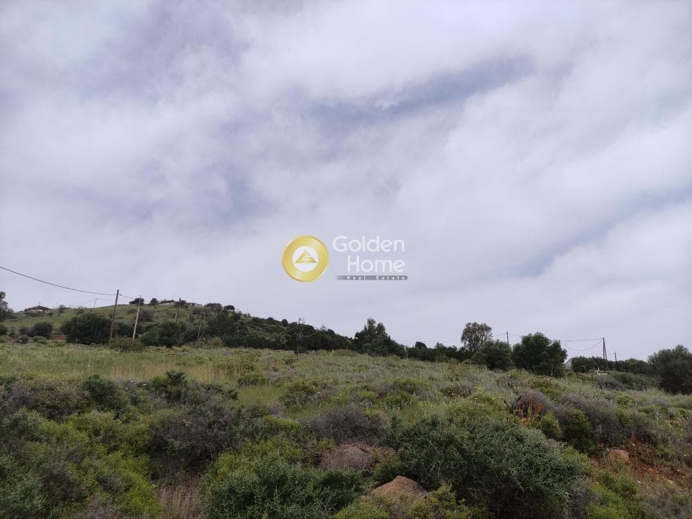 Αγροτεμάχιο στην Παλιοκαμάριζα, Λαύριο — Φωτογραφία 4 από 4